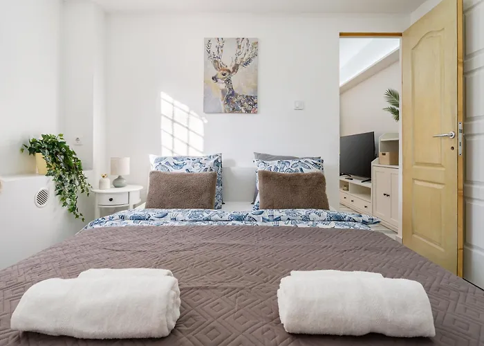 Appartement Hidden Gem In Buda